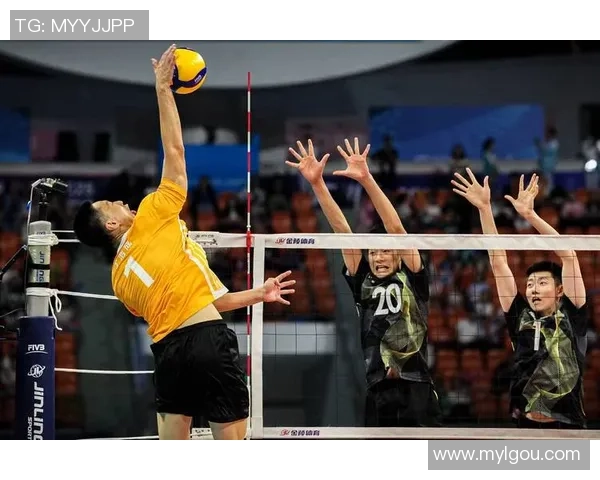 上海排球队最新排球意识排名第一的十强分析与展望