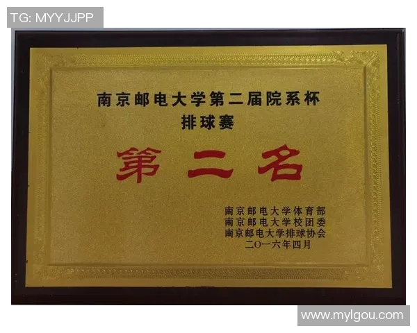 排球比赛经验排行榜揭晓北京排球队荣获第二名成就辉煌