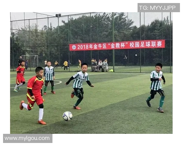 全面提升青少年足球技能的课程教学计划与实施方案