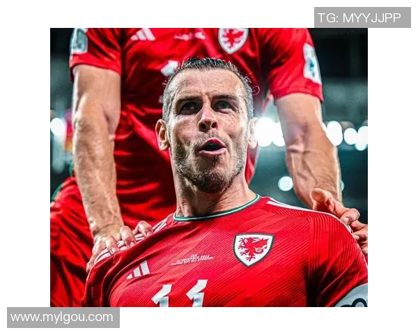 威尔士与奥地利足球对决分析及历史交锋回顾