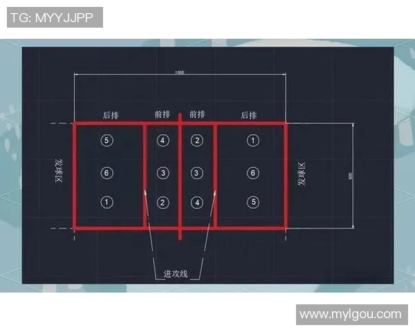 深入分析南京排球队的控制打法与战术特点解析