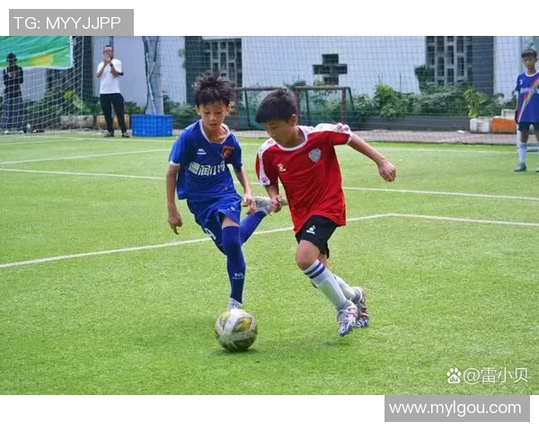 足球巡词：在绿茵场上追逐梦想与激情的旅程