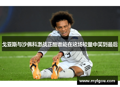 戈亚斯与沙佩科激战正酣谁能在这场较量中笑到最后
